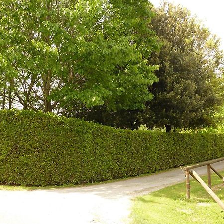 Il Nido Villa Lucca Eksteriør billede