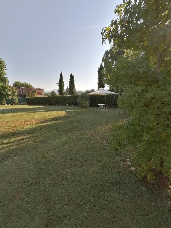 Il Nido Villa Lucca Eksteriør billede