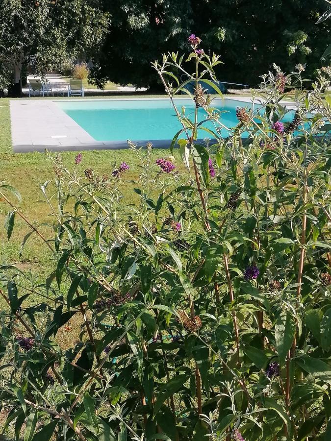 Il Nido Villa Lucca Eksteriør billede