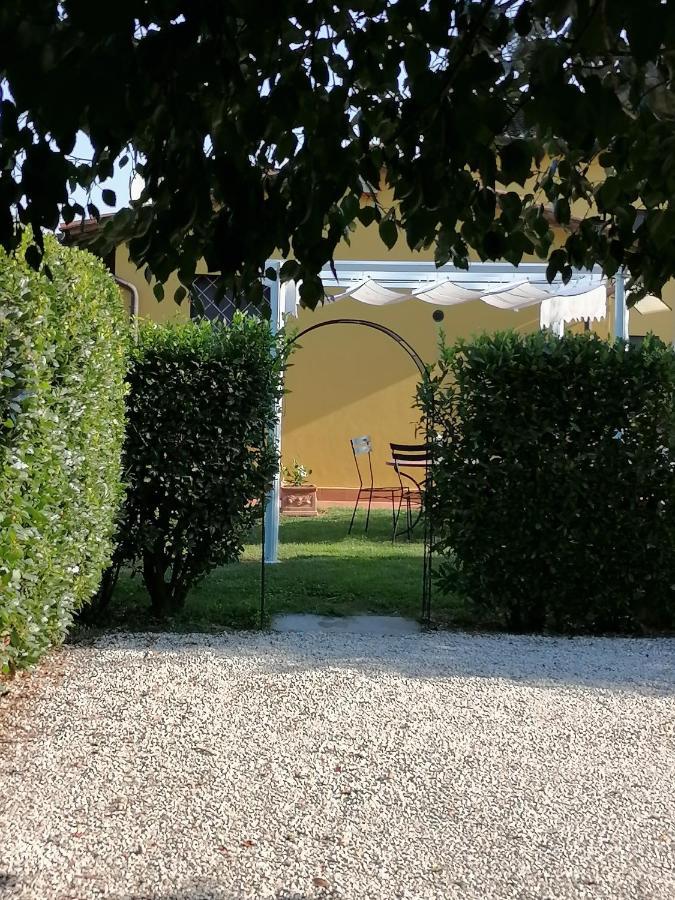 Il Nido Villa Lucca Eksteriør billede