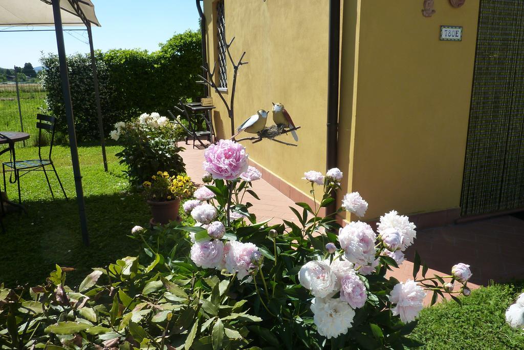 Il Nido Villa Lucca Værelse billede