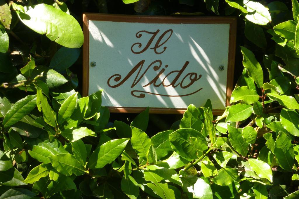Il Nido Villa Lucca Værelse billede
