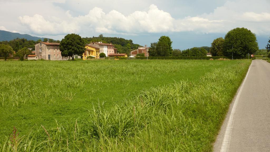 Il Nido Villa Lucca Eksteriør billede