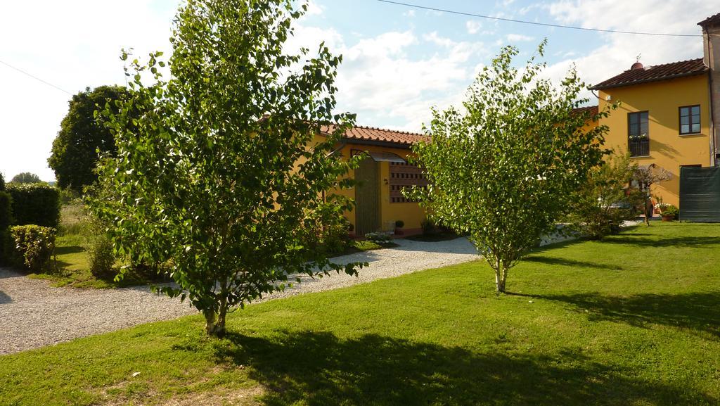 Il Nido Villa Lucca Eksteriør billede