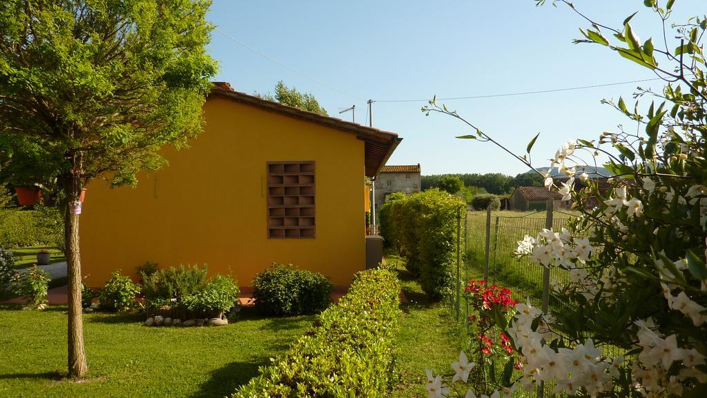 Il Nido Villa Lucca Eksteriør billede