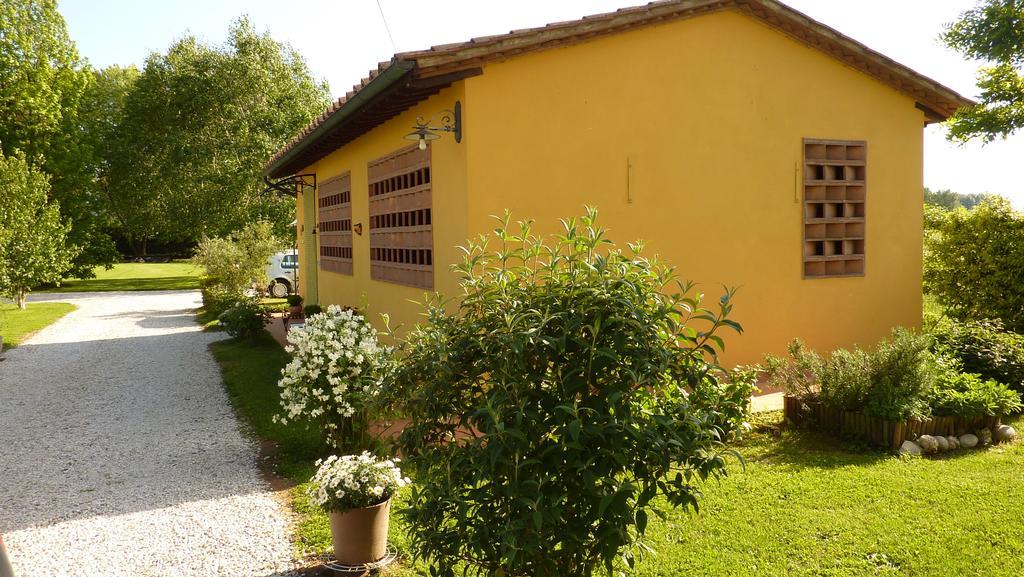 Il Nido Villa Lucca Eksteriør billede